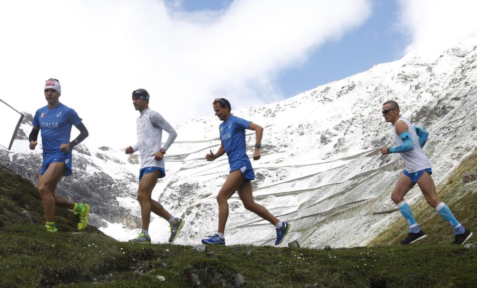 Stelvio Maratona