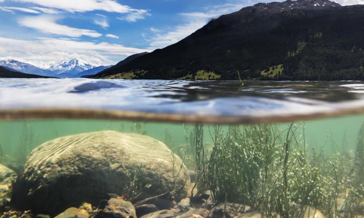 reschensee-blick-unter-wasser-fb