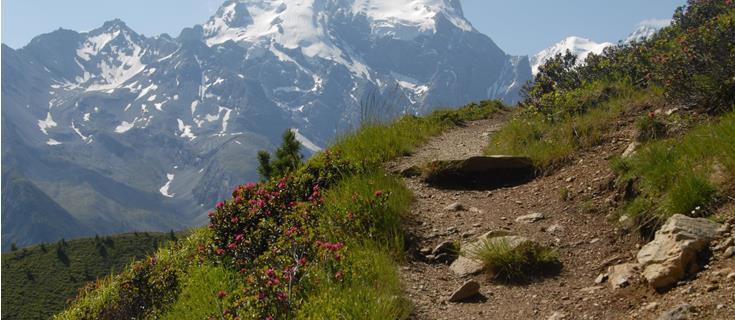 Goldseeweg trail