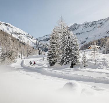 Cross-country skiing