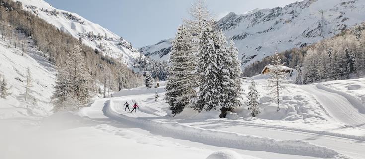 langlaufen-langtaufers-melageralm-vinschgau-bepf