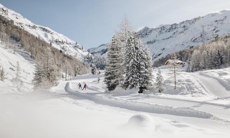 Cross-country skiing