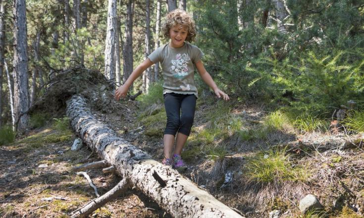 A kid is balancing on a trunk